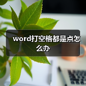 word打空格都是点怎么办（图3）