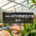 word打空格都是点怎么办（图2）