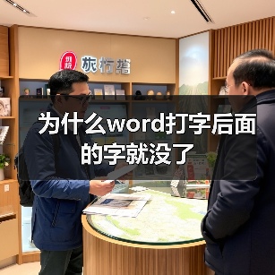 Word打字后文字消失原因及解决方法