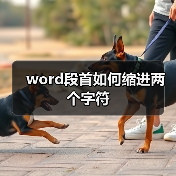 word段首如何缩进两个字符（图3）