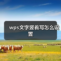 WPS文字竖排设置方法及效果展示