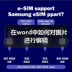 Word图片编辑方法及常用工具使用指南