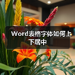 Word表格字体如何上下居中（图2）