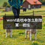 word表格中怎么删除某一根线（图3）