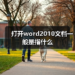 打开word2010文档一般是指什么（图3）