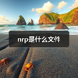 nrp是什么文件（图3）