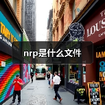 NRP文件游戏录像观看方法详解