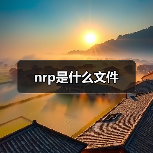 nrp是什么文件（图2）