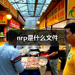 nrp是什么文件（图4）