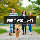 Word文档页眉页脚设置详解
