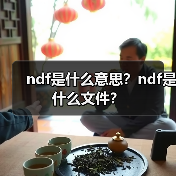 ndf是什么意思？ndf是什么文件？（图2）