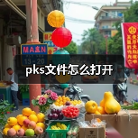 pks文件怎么打开（图3）