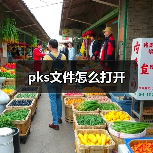 pks文件怎么打开（图2）