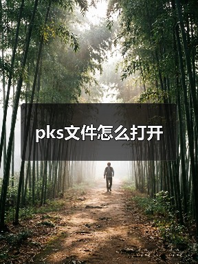 pks文件怎么打开（图4）