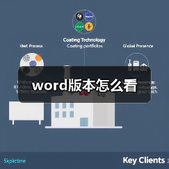 word版本怎么看（图3）