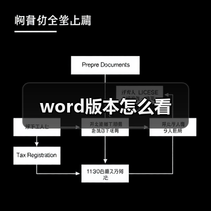 word版本怎么看（图4）