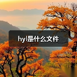 hyl是什么文件（图3）