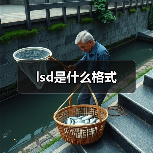 lsd是什么格式（图2）