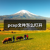 pcap文件怎么打开（图3）