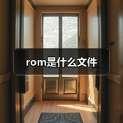 rom是什么文件（图3）