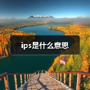 ips是什么意思（图2）
