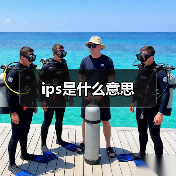 ips是什么意思（图4）