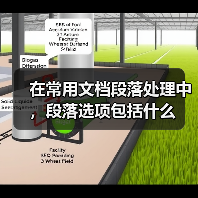 在常用文档段落处理中，段落选项包括什么（图4）