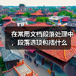 在常用文档段落处理中，段落选项包括什么（图3）