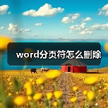 word分页符怎么删除（图3）