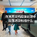 在常用文档段落处理中，段落选项包括什么（图2）