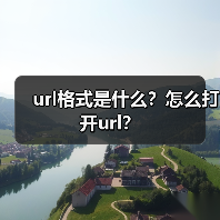 url格式是什么？怎么打开url？（图3）