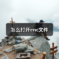 怎么打开enc文件（图2）