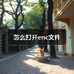 怎么打开enc文件（图4）