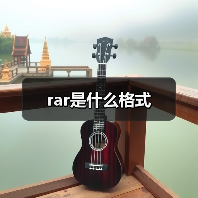 rar是什么格式（图2）