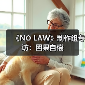 《NO LAW》制作组专访：因果自偿