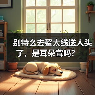 别特么去鳌太线送人头了，是耳朵聋吗？