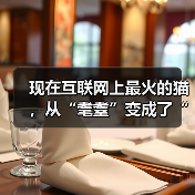 现在互联网上最火的猫,从“耄耋”变成了“萝卜纸巾猫”(图4) 现在互联网上最火的猫,从“耄耋”变成了“萝卜纸巾猫”(图4)