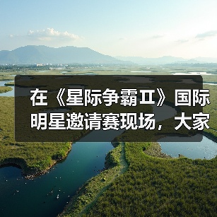 在《星际争霸Ⅱ》国际明星邀请赛现场，大家都是当初那个少年