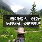 一场胶佬退坑、筹钱治病的骗局，硬是把奥迪双钻骗成了小丑