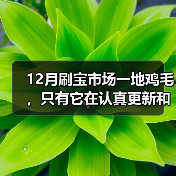 12月刷宝市场一地鸡毛,只有它在认真更新和撒钱(图3) 12月刷宝市场一地鸡毛,只有它在认真更新和撒钱(图3)