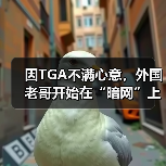 因TGA不满心意,外国老哥开始在“暗网”上召唤邪神?(图3) 因TGA不满心意,外国老哥开始在“暗网”上召唤邪神?(图3)
