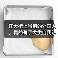 在大街上当狗的外国人，真的有了犬类自我认同？（图3）