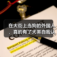 在大街上当狗的外国人，真的有了犬类自我认同？（图2）