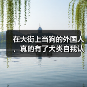 在大街上当狗的外国人，真的有了犬类自我认同？