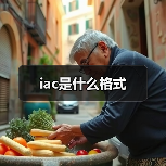 iac是什么格式（图1）