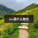 iac是什么格式（图3）