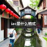 iac是什么格式（图4）