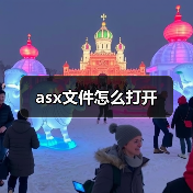 asx文件怎么打开（图4）