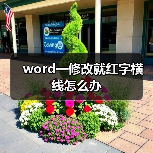 word一修改就红字横线怎么办(图3) word一修改就红字横线怎么办(图3)