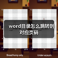 word目录怎么跳转到对应页码（图2）